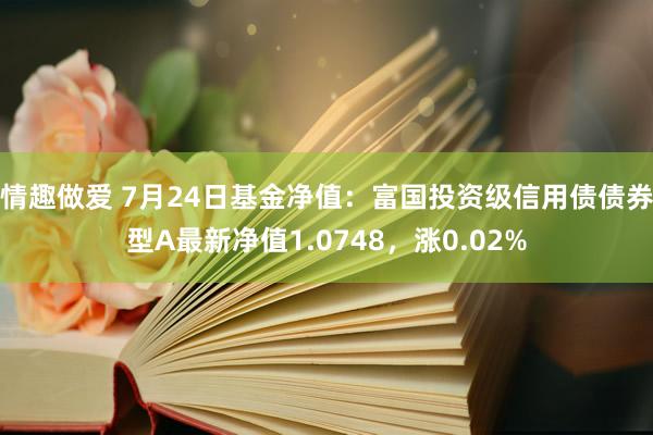 情趣做爱 7月24日基金净值：富国投资级信用债债券型A最新净值1.0748，涨0.02%