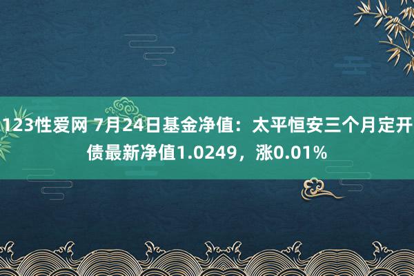 123性爱网 7月24日基金净值：太平恒安三个月定开债最新净值1.0249，涨0.01%