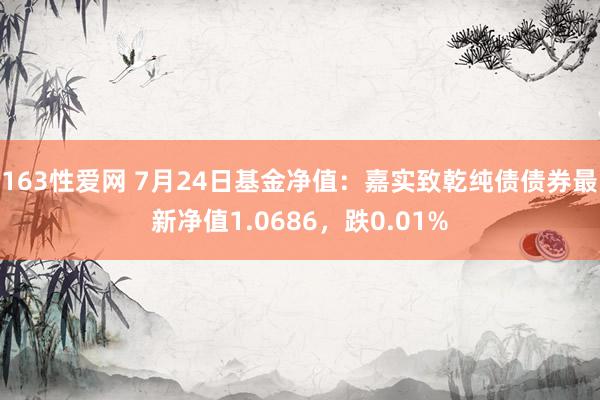 163性爱网 7月24日基金净值：嘉实致乾纯债债券最新净值1.0686，跌0.01%