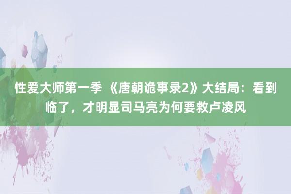 性爱大师第一季 《唐朝诡事录2》大结局：看到临了，才明显司马亮为何要救卢凌风