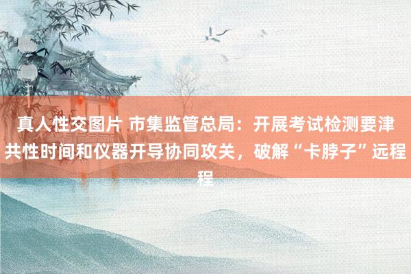 真人性交图片 市集监管总局：开展考试检测要津共性时间和仪器开导协同攻关，破解“卡脖子”远程