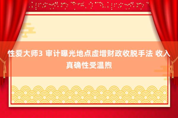 性爱大师3 审计曝光地点虚增财政收脱手法 收入真确性受温煦