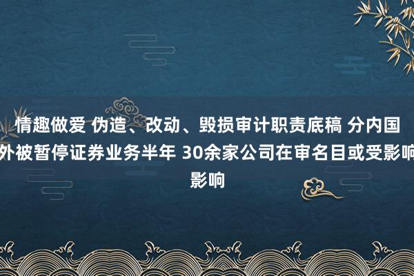 情趣做爱 伪造、改动、毁损审计职责底稿 分内国外被暂停证券业务半年 30余家公司在审名目或受影响