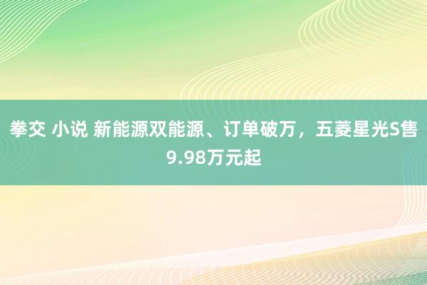 拳交 小说 新能源双能源、订单破万，五菱星光S售9.98万元起