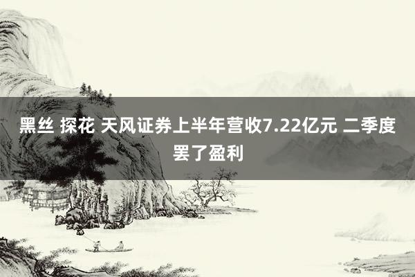 黑丝 探花 天风证券上半年营收7.22亿元 二季度罢了盈利