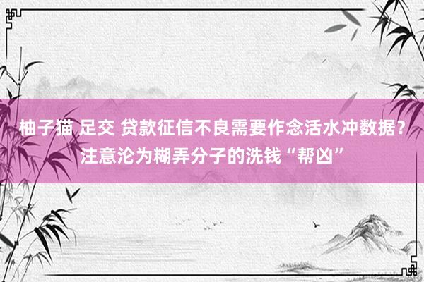 柚子猫 足交 贷款征信不良需要作念活水冲数据？注意沦为糊弄分子的洗钱“帮凶”